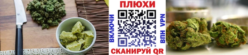 Canna-Cookies марихуана Новоалександровск