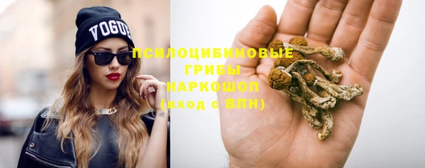 спайс Алексеевка