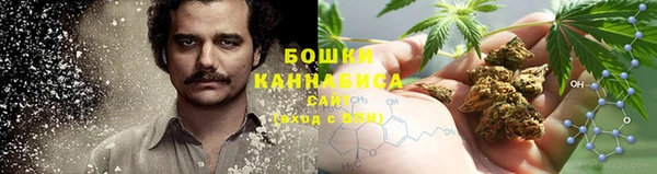твердый Абаза
