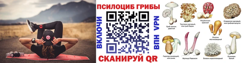 Галлюциногенные грибы мицелий  кракен зеркало  Новоалександровск  где найти  